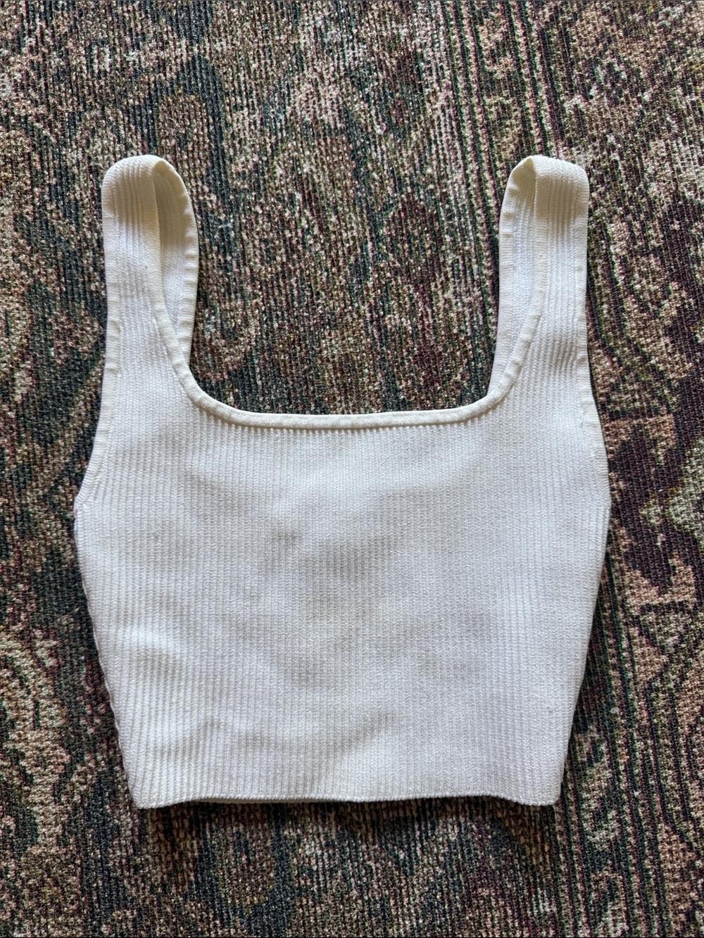 Aritzia/ Babaton Sculpt Knit Crop Top